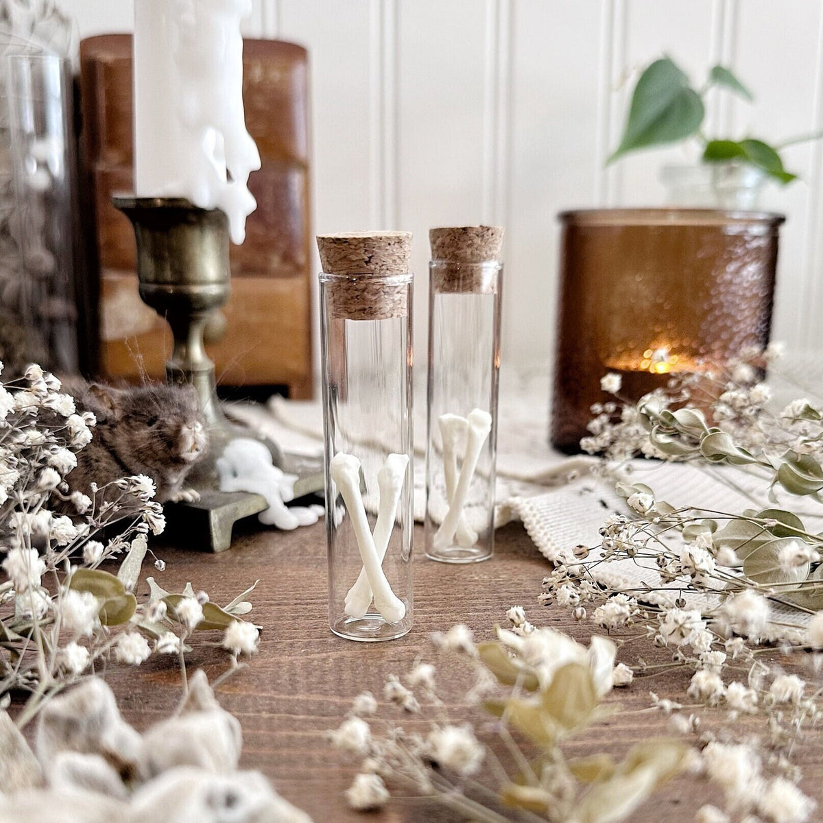 Real Fox Foot Bones in Glass Vial – No. 03