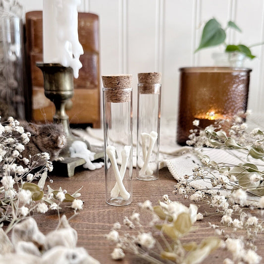 Real Fox Foot Bones in Glass Vial – No. 03
