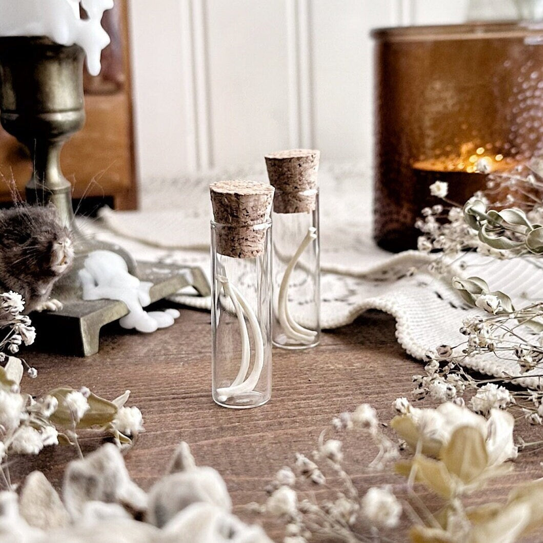 Real Petite Squirrel Rib Bones in Glass Vial – No. 02