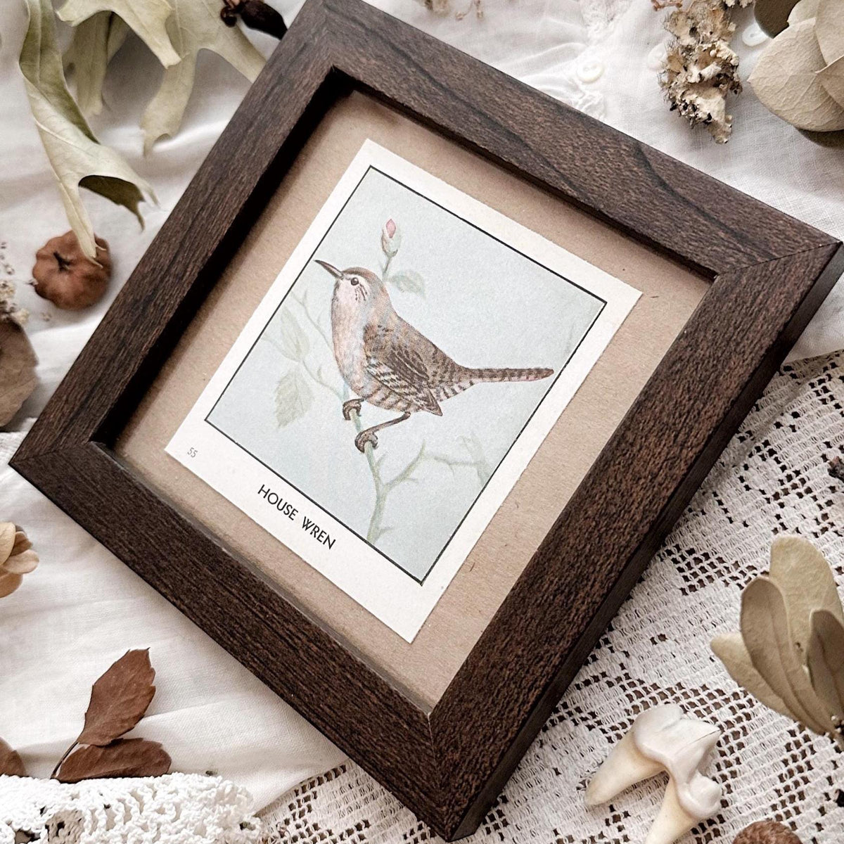 1931 The House Wren – 4x4 Framed Vintage 1930's Bird Print