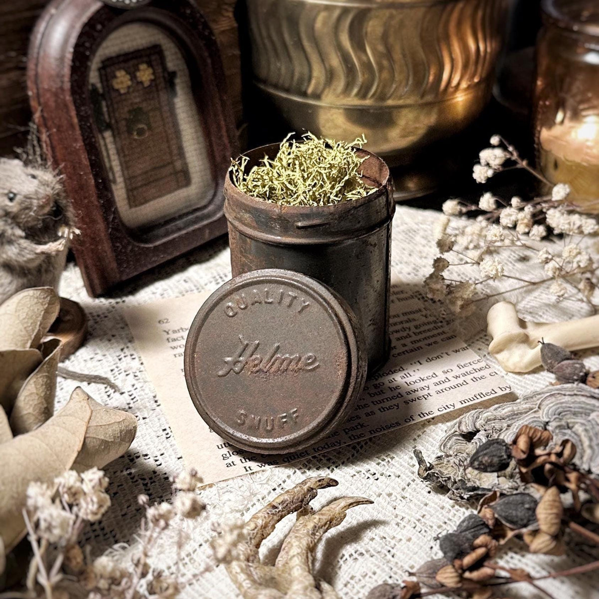 Vintage Rusty Snuff Tin, Dried Lichen – No. 06