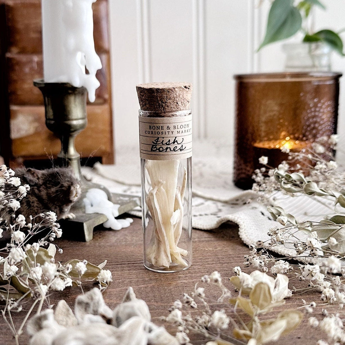 Real Fish Bones in Glass Vial – No. 03