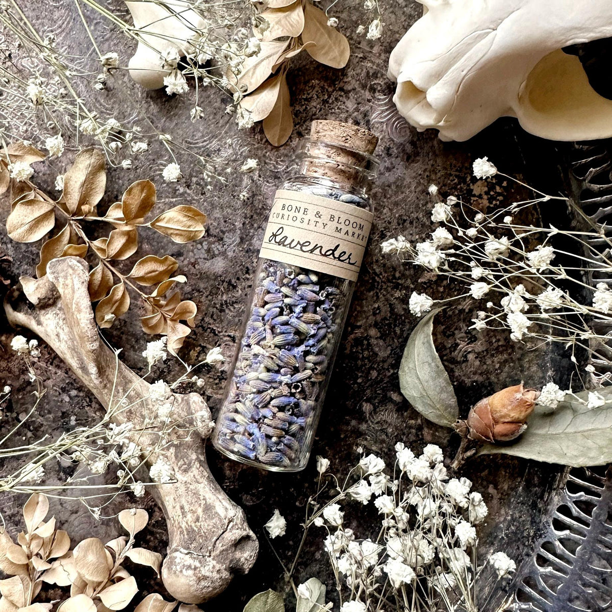 Dried Lavender Buds in Glass Vial
