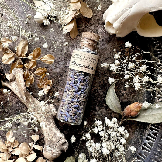 Dried Lavender Buds in Glass Vial