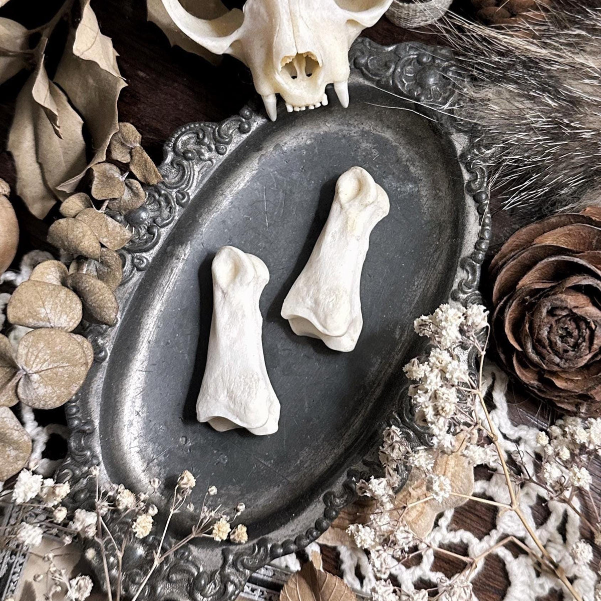 One Real Deer Knuckle Bone