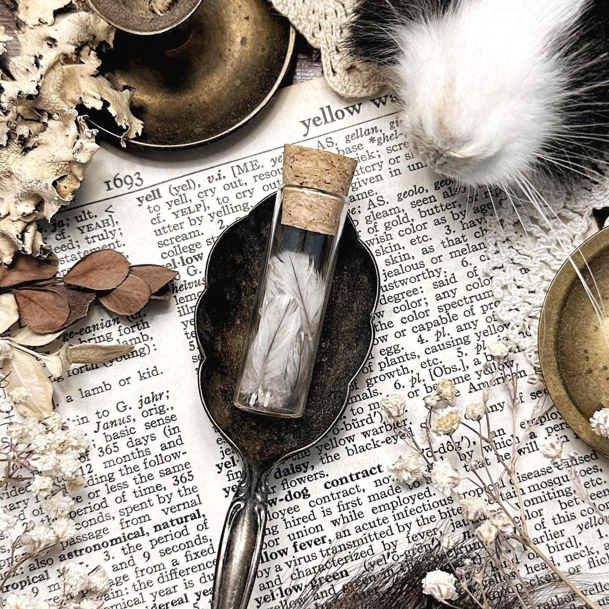 Real Tiny Gray Turkey Feathers in Glass Vial – No. 01