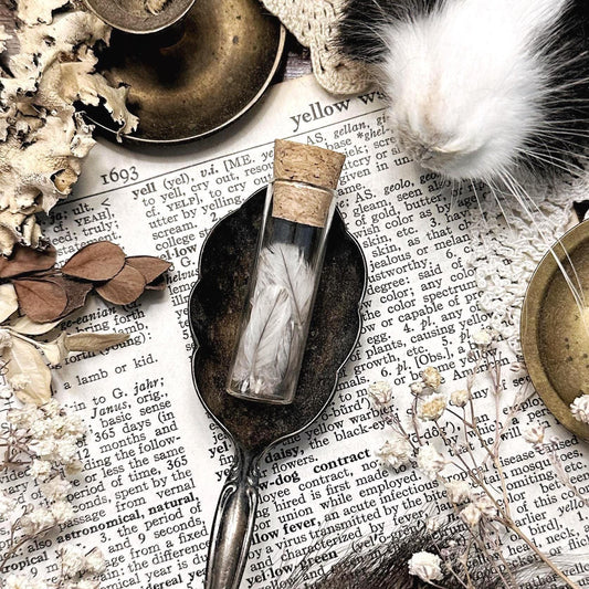 Real Tiny Gray Turkey Feathers in Glass Vial – No. 01