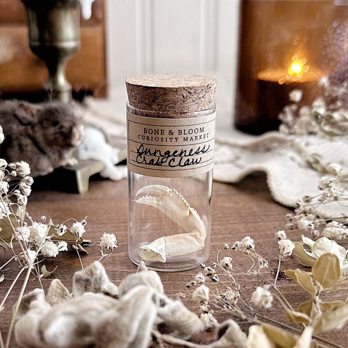 Real Petite Dungeness Crab Claw in Glass Vial – No. 32