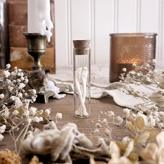 Real Woodchuck Bones in Glass Vial