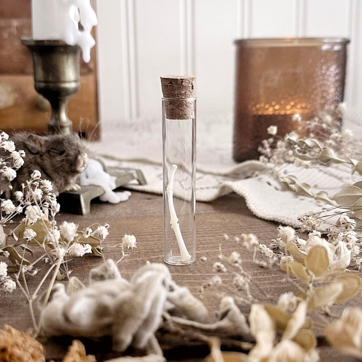 Real Raccoon Foot Bones in Glass Vial – No. 05