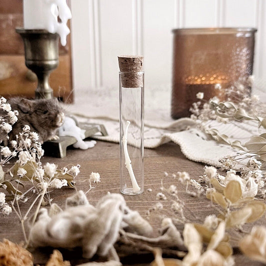 Real Raccoon Foot Bones in Glass Vial – No. 05