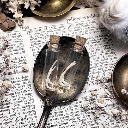 Real Tiny Rat Rib Bones in Tiny Glass Vial – No. 02