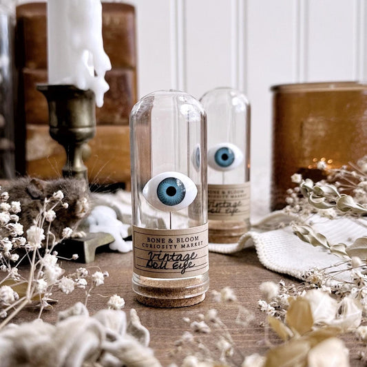 One Vintage Blue Doll Eye in Glass Dome – No. 02