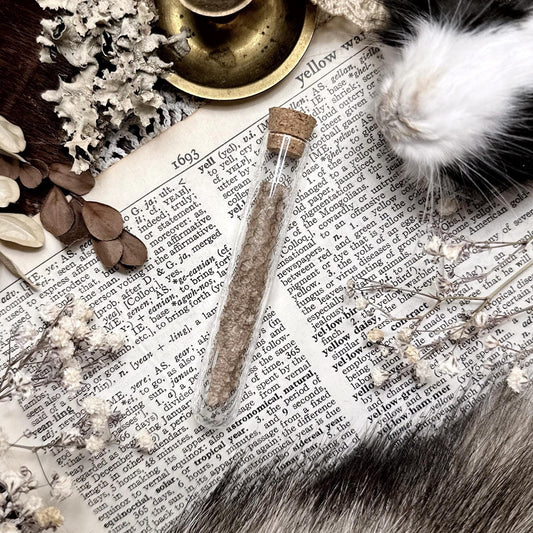 Real Lizard Skin Shed in Glass Vial