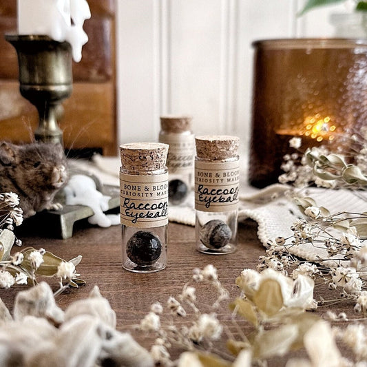 One Real Mummified Raccoon Eyeball in Glass Vial
