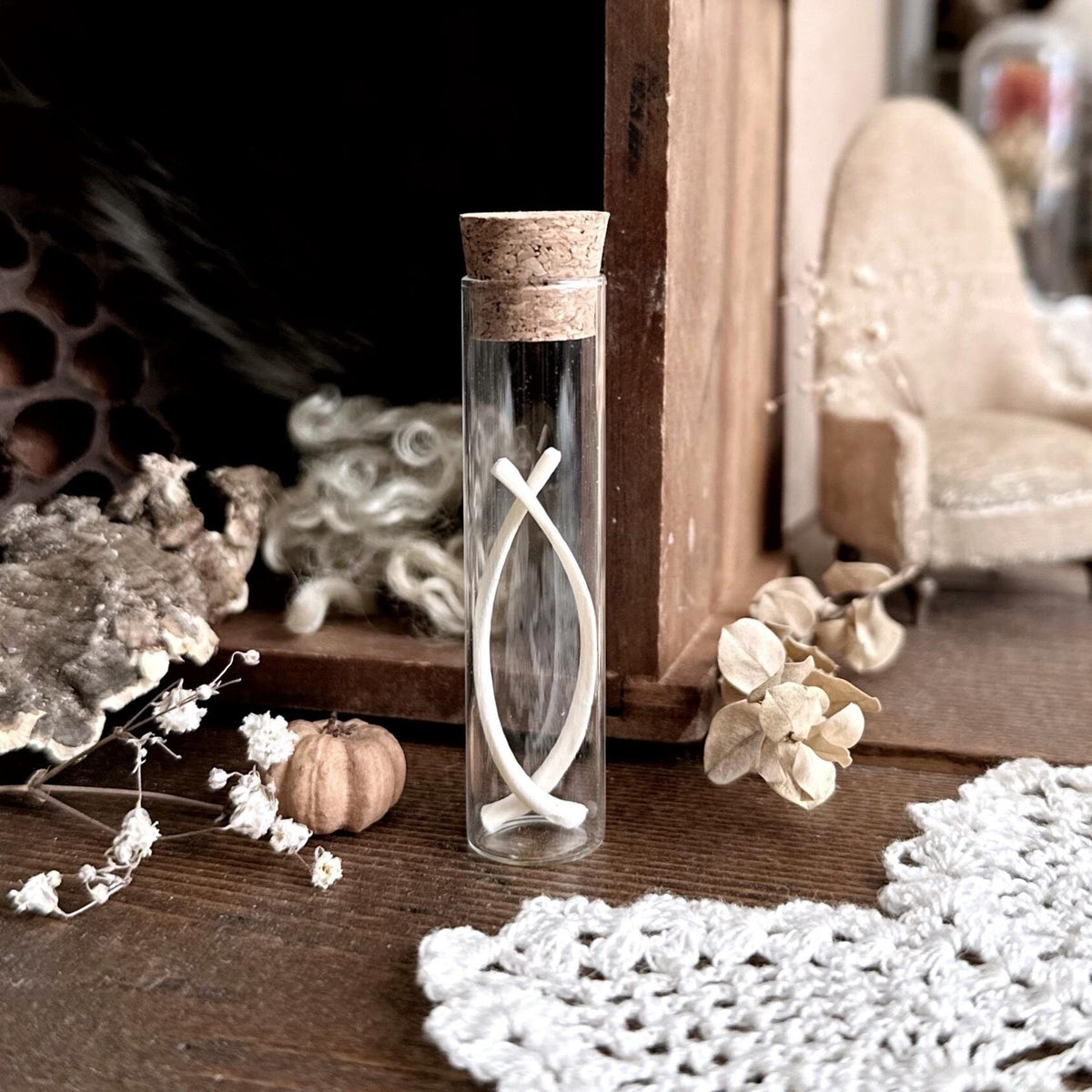 Real Fetal Pig Rib Bones in Glass Vial – No. 02