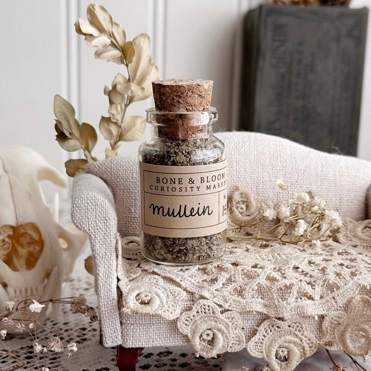 Dried Mullein in Glass Vial – No. 15
