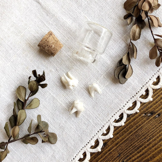 Real Raccoon Teeth in Petite Glass Vial