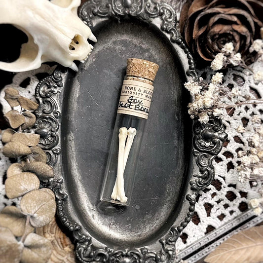 Real Fox Foot Bones in Glass Vial