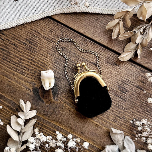 Real Human Tooth in Miniature Doll Purse – No. 04
