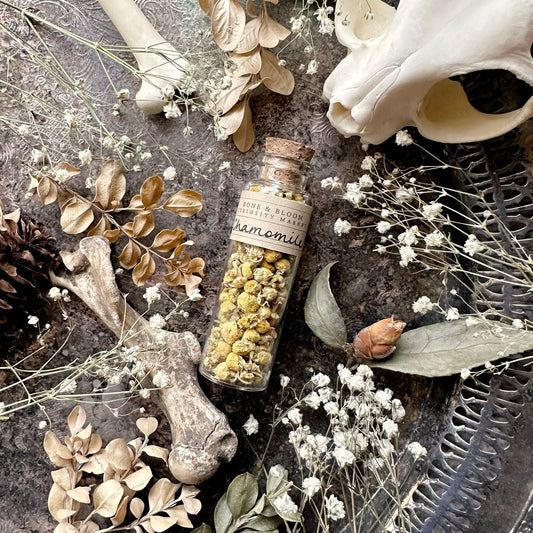 Dried Chamomile Buds in Glass Vial