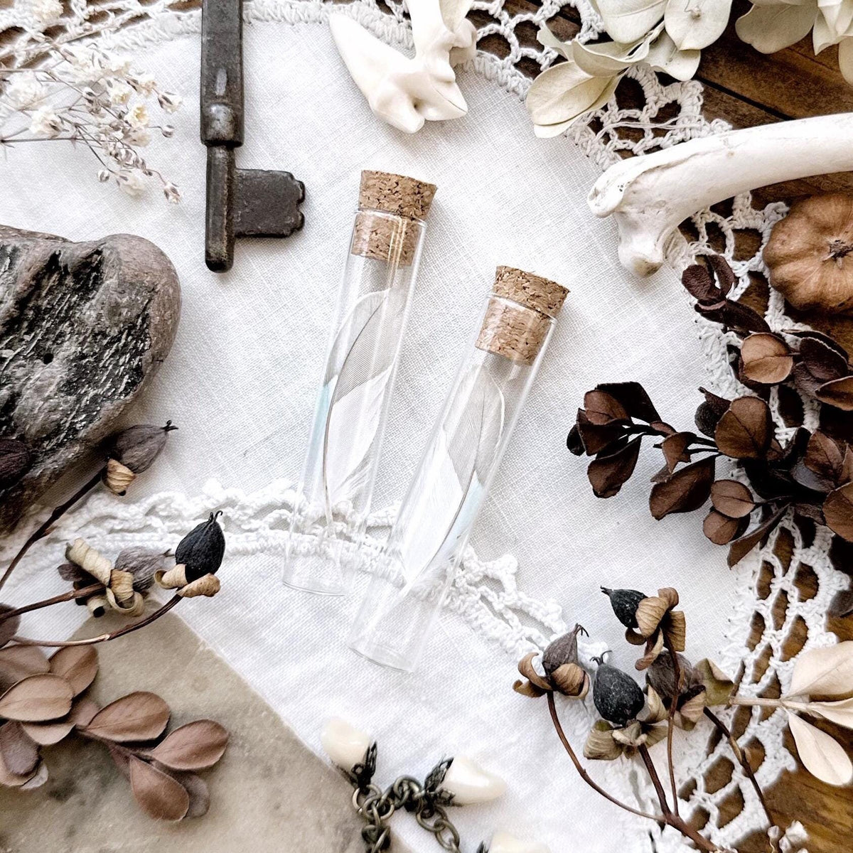 One Real Petite Parakeet Feather in Glass Vial – No. 01