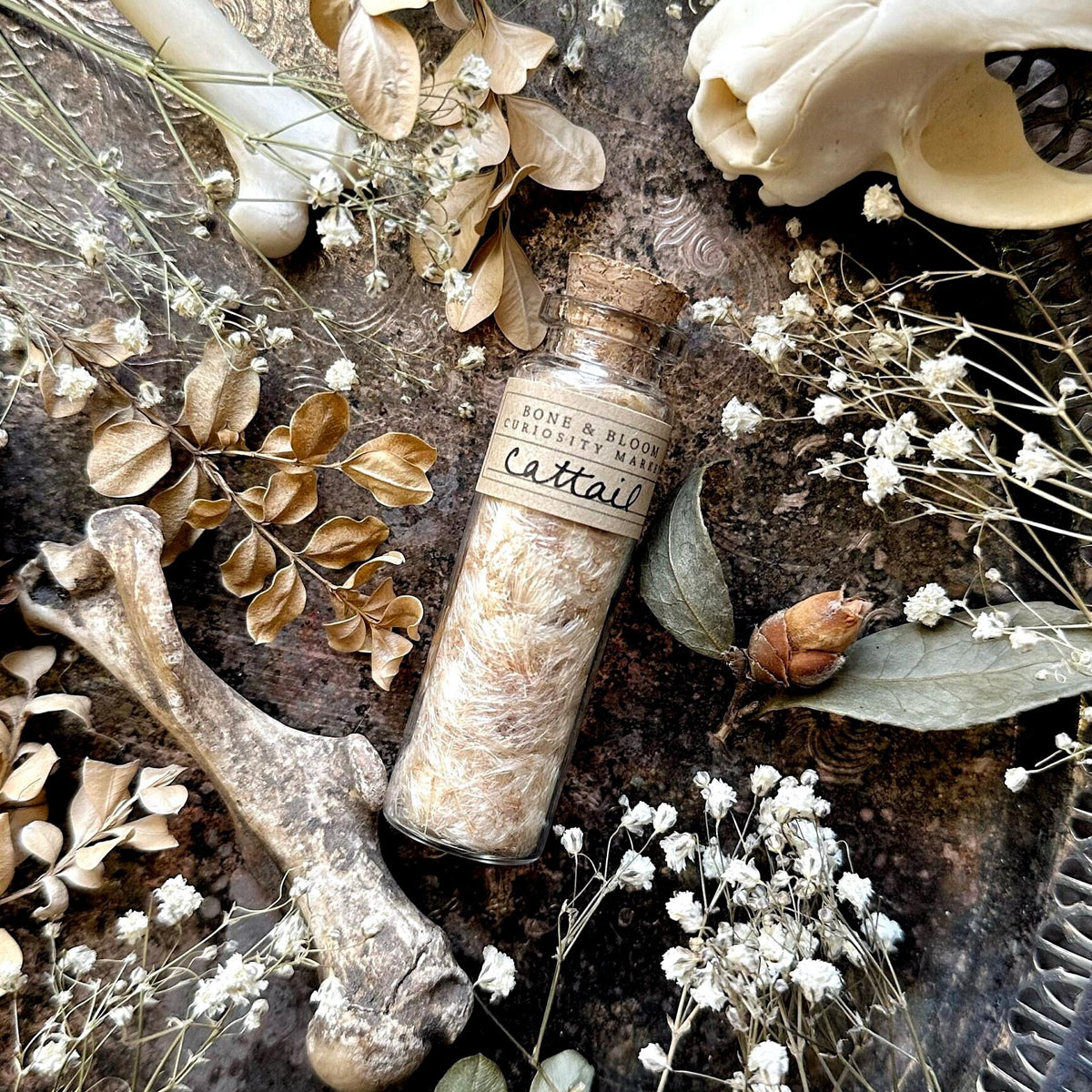 Dried Cattail Fluff in Glass Vial
