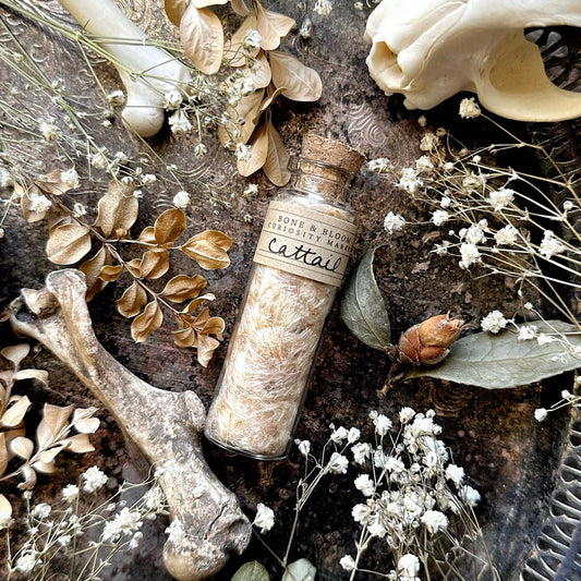 Dried Cattail Fluff in Glass Vial