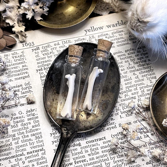 One Real Tiny Rat Femur Bone in Tiny Glass Vial – No. 03