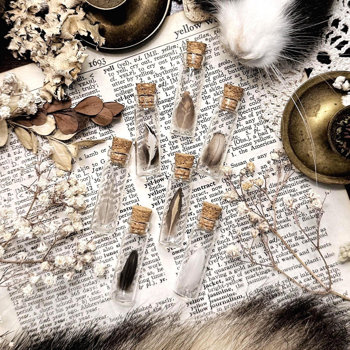 One Real Tiny Mystery Feather in Tiny Glass Vial