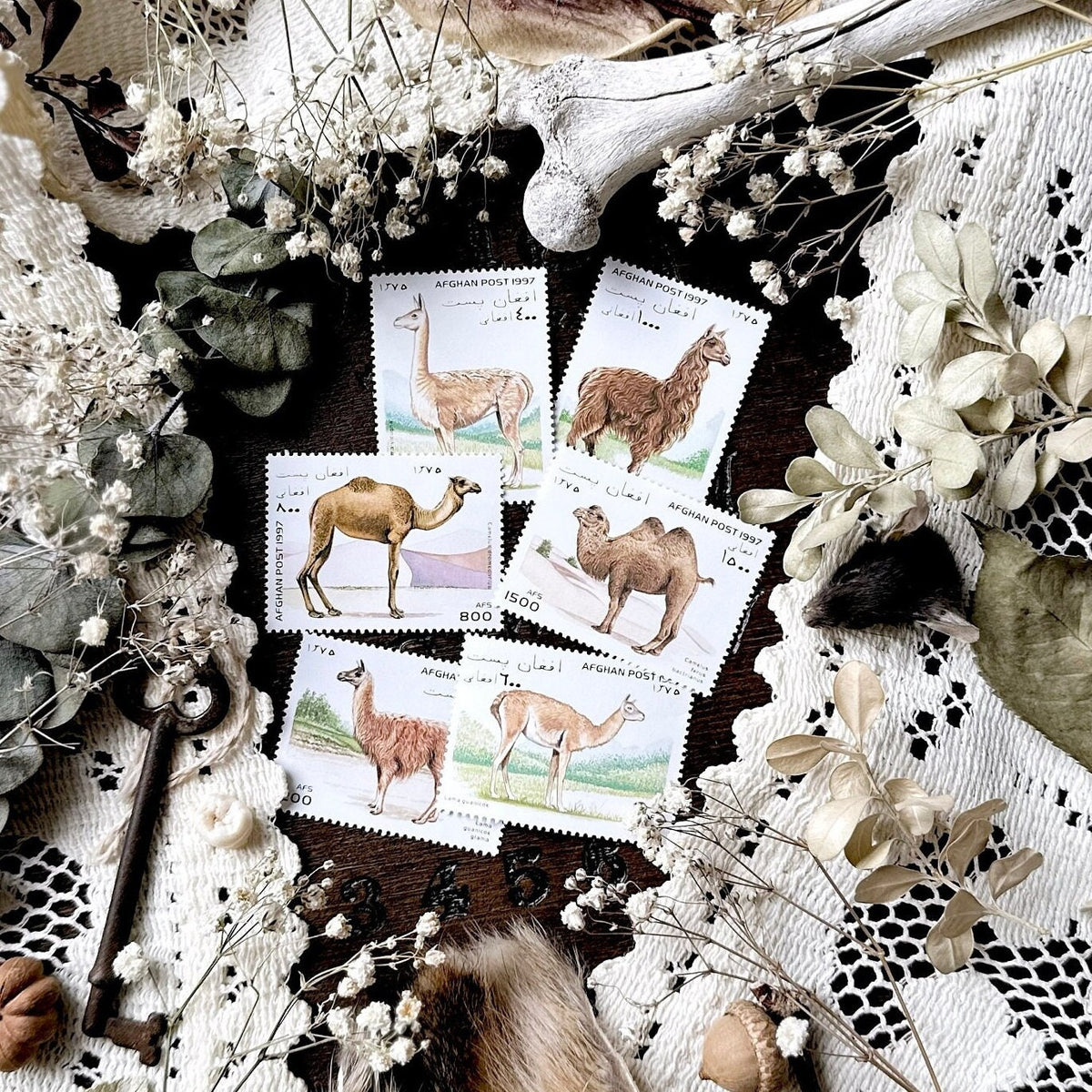 Vintage Llama & Camel Stamps – No. 09, 1997