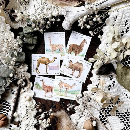 Vintage Llama & Camel Stamps – No. 09, 1997