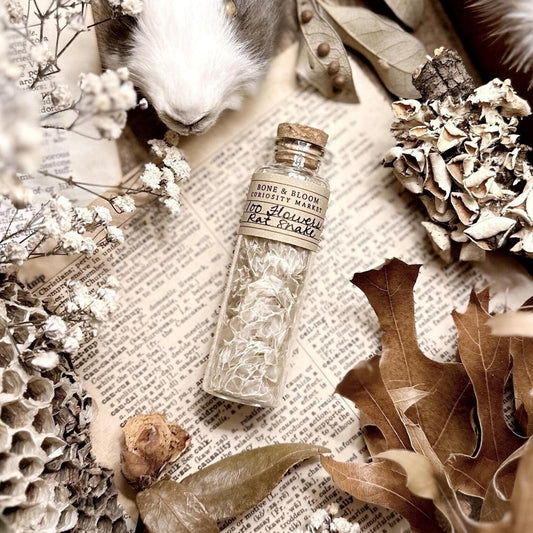 Real 100 Flowers Rat Snake Skin in Glass Vial