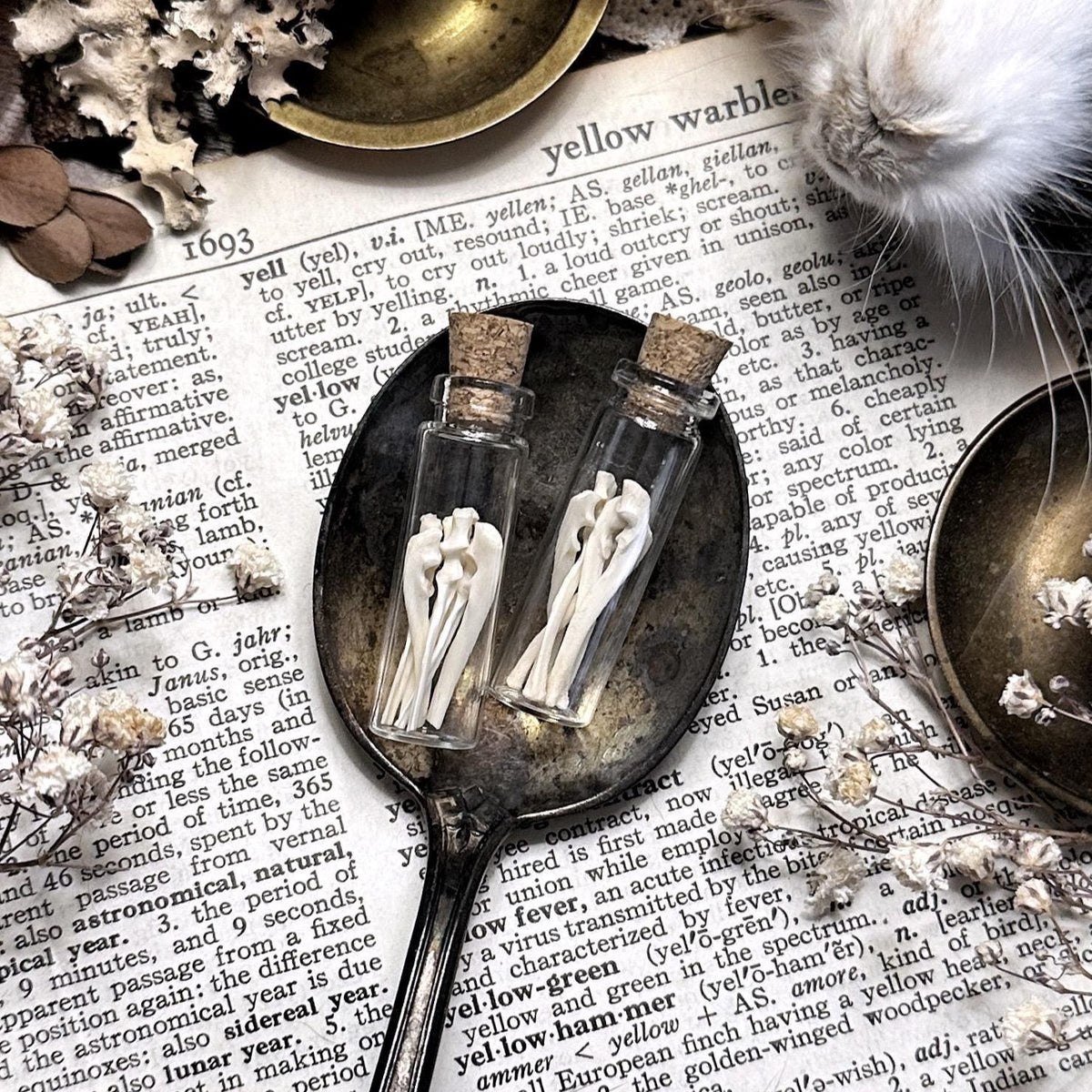 Real Tiny Rat Ulna Bones in Tiny Glass Vial – No. 03