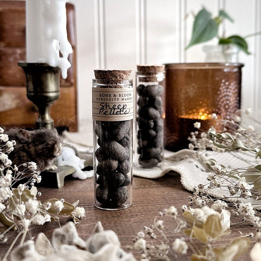 Real Dried Sheep Pellets in Glass Vial