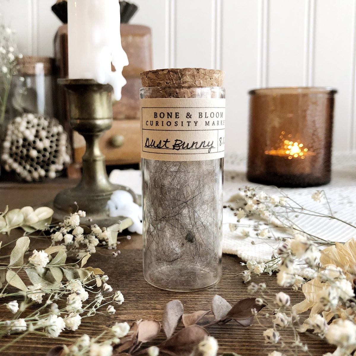House Dust Bunny in Glass Vial
