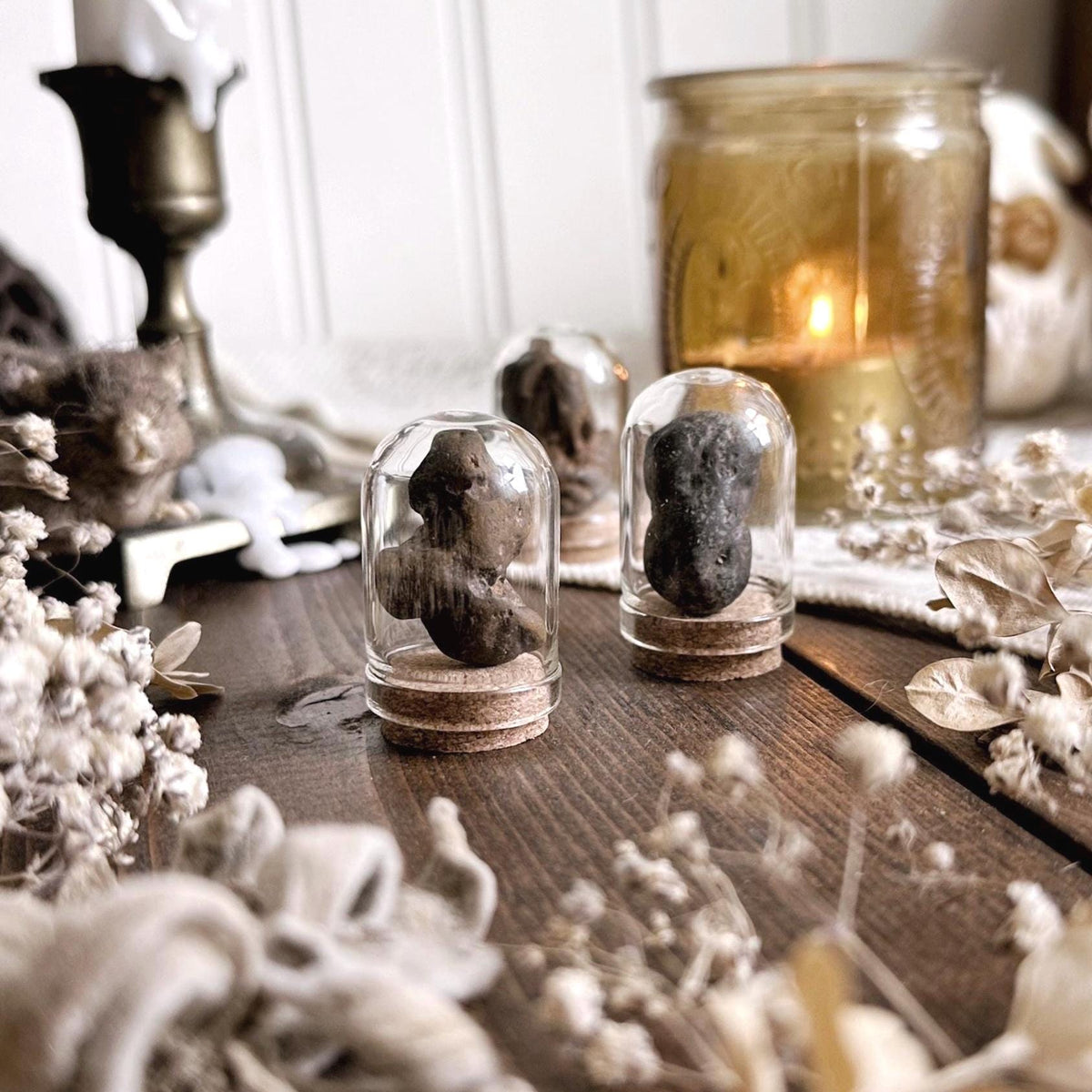 One Real Mystery Tiny Coprolite Fossil in Glass Dome