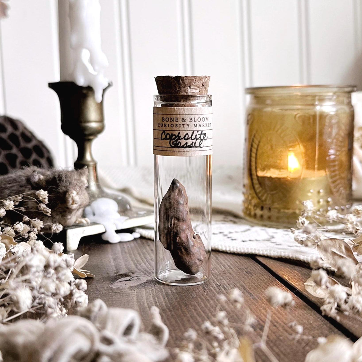 Real Petite Coprolite Fossil in Glass Vial – No. 13