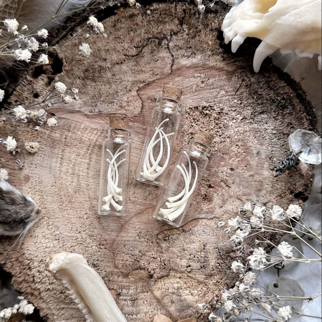 Real Tiny Emerald Tree Boa Rib Bones in Glass Vial – No. 06
