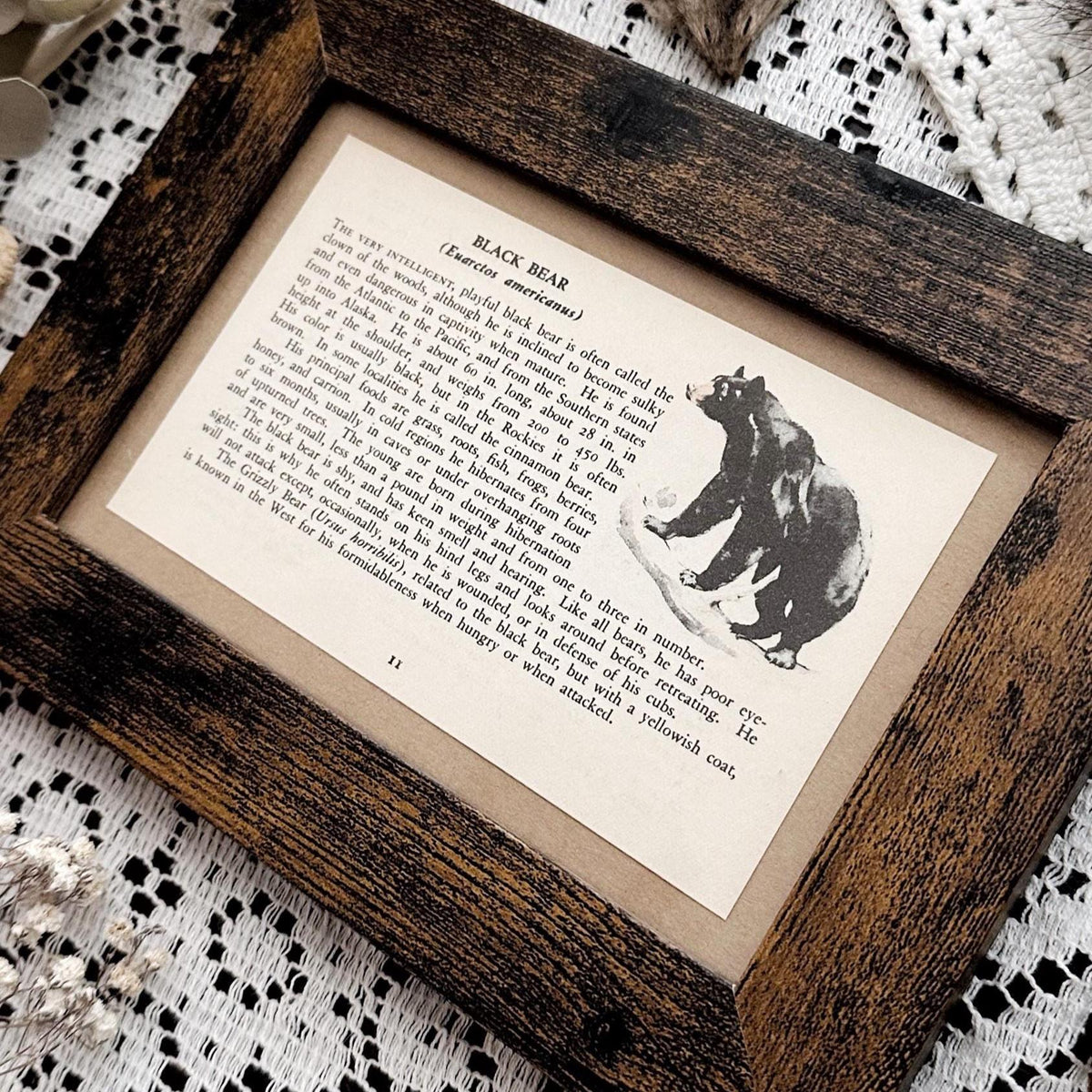 1938 The Black Bear – 4x6 Framed Vintage 1930's Book Page