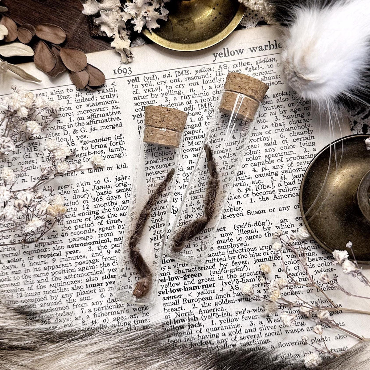 Petite Tarantula Leg in Glass Vial – No. 12