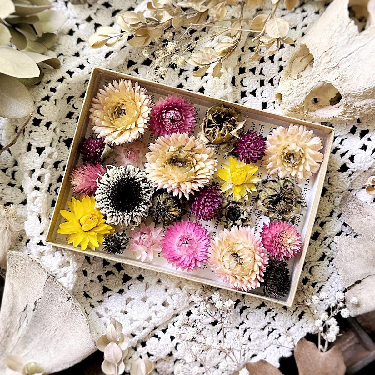 Collection of 20+ Dried Flower Heads