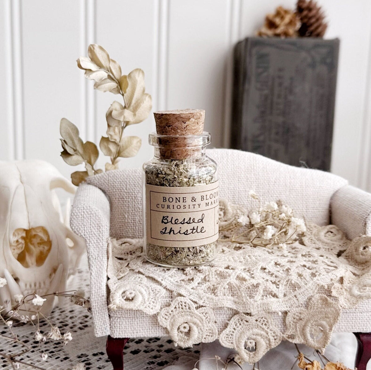 Dried Blessed Thistle in Glass Vial – No. 44
