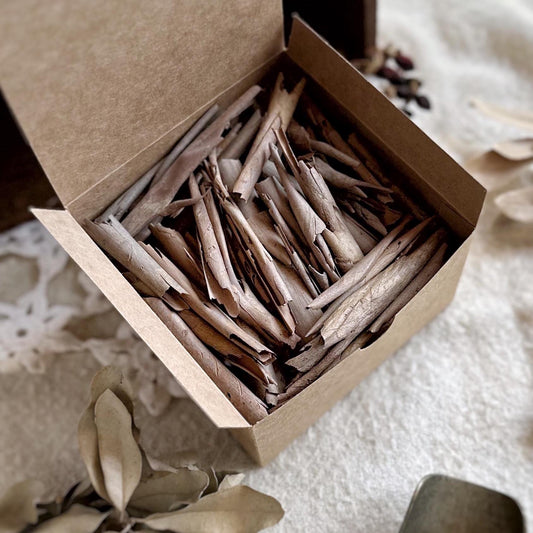 Box of Wild Foraged Tree Bark