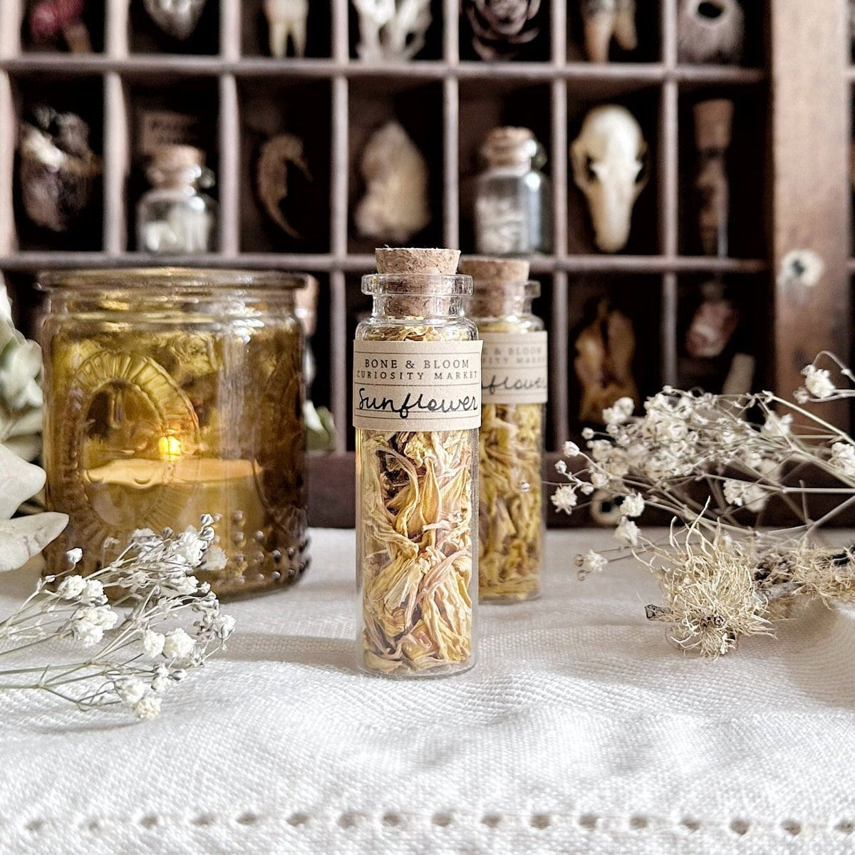 Dried Sunflower Petals in Glass Vial