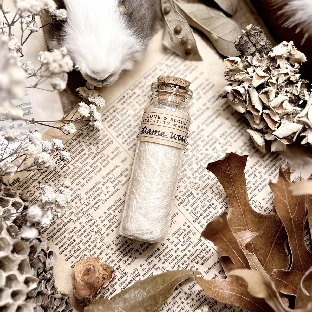 Baby Llama Wool in Glass Vial