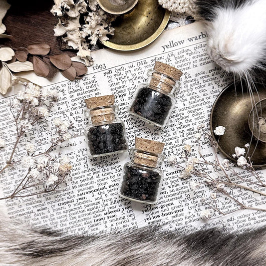 Dried Elderberries in Tiny Glass Vial