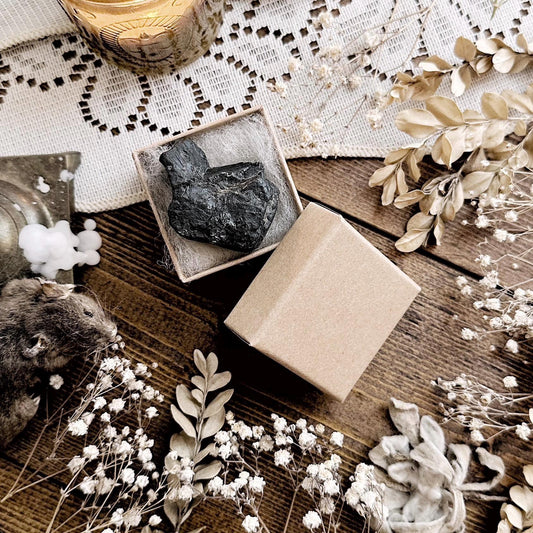 Lump of Coal in Petite Kraft Box – No. 02