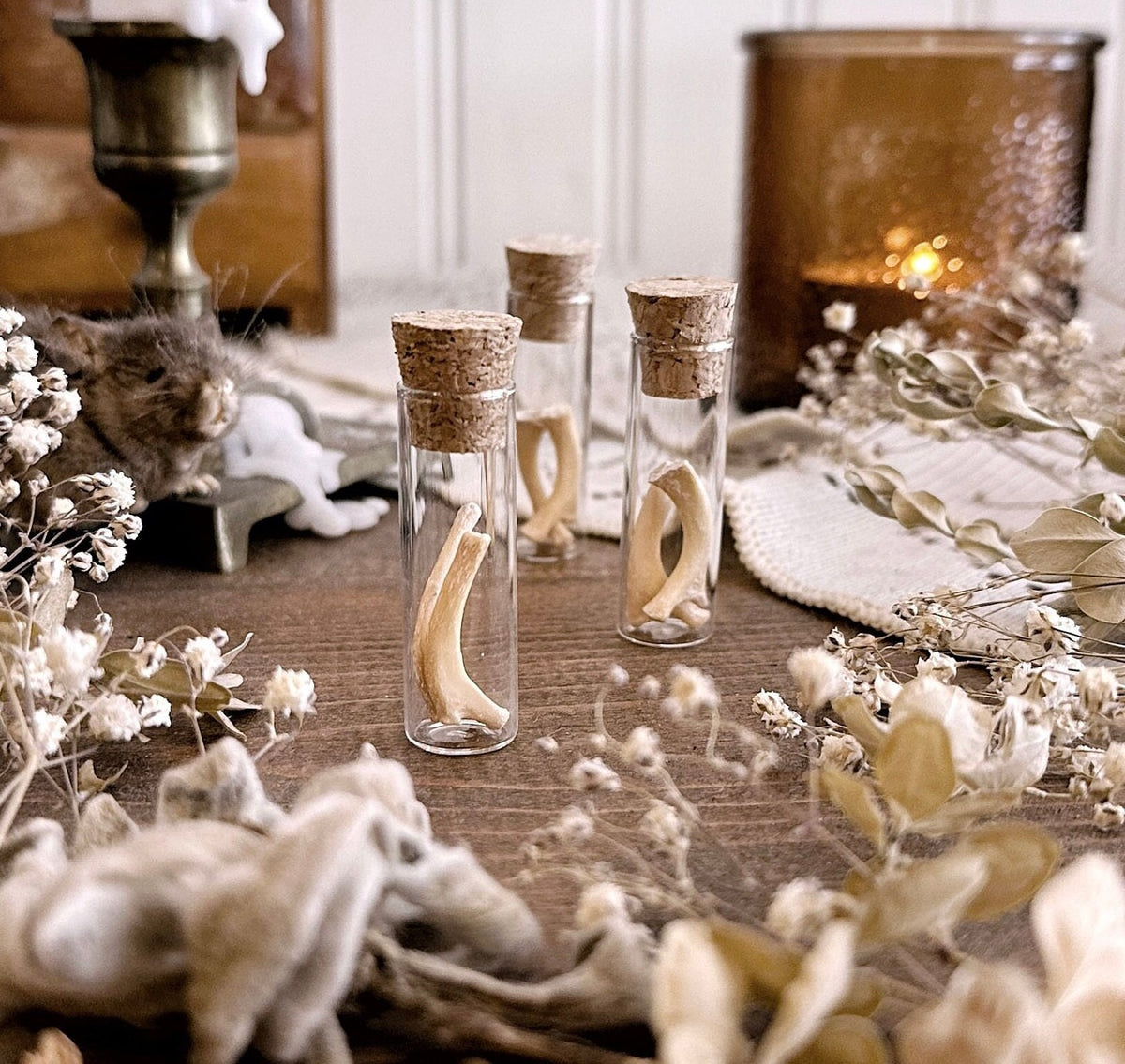 Real Petite Raccoon Rib Bones in Glass Vial – No. 03