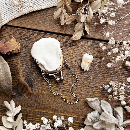 Real Human Tooth in Miniature Doll Purse – No. 06